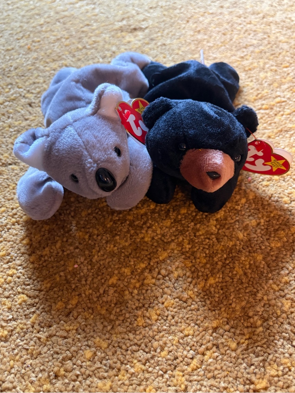 Ty Beanie Babies Koala and Black Bear Plush Pair - Gray and Black